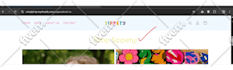 fix shopify bugs, errors, custom coding, theme customization