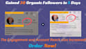 do fast organic instagram growth