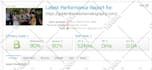 fix wordpress bugs, errors, plugin issues, ssl, speed and website problems