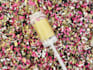 bulk photos background removal or transparent