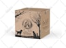 design professional product packaging, box and label design with 3d mockup
