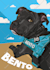 draw a vector art for your pet photo