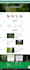 design or redesign wordpress website or woocommerce store