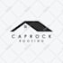 a professional minimalist and geometric logo design