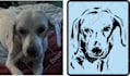 make a reusable plastic stencil of your pet