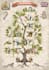 design personalized genealogy family tree poster