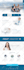 build a professional ecommerce store or online store
