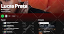 do organic music promotion and playlist placement campaign