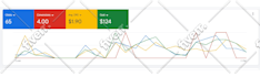 setup and manage highly profitable google ads and PPC campaigns