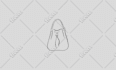 illustrate anything for you using line art