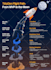 do flowchart, pie chart, flow process, infographic design