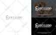 design premium logo with 3 concepts