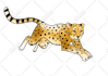 create an exotic animal or pet illustration for you