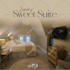 design luxury, modern hotel, restaurant, saloon social media posts