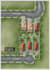 create site plan and real estate plan rendering