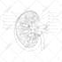design physics chemistry, biology and science illustrations