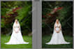 editing wedding photo and color correction in lightroom