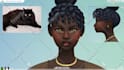 make animal looking sims for you