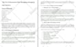 write SEO blog post and website content that ranks on google