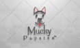 design a premium logo