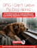 design a PDF ebook, book cover, lead magnet professionally