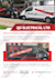 design business flyer, poster, leaflet or brochure
