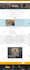 create, professional, responsive business wordpress websites