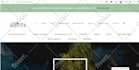 fix elementor bug, wordpress debugging, wordpress bug fixing