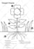 turn diagram sketch into a beautiful infographic