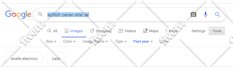 web research information you need