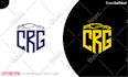 design professional monogram or initial letter logo
