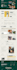 design godaddy website or godaddy ecommerce store