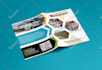 design a catchy brochure or pamphlet
