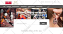 design develop professional websites in any platform