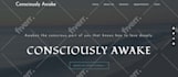 customize wordpress theme and fix bugs professionally