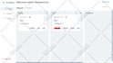 develop a high performance custom website