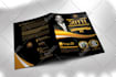 design professional brochure, catalogue, proposal, magazine quickly