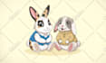 draw cartoon, comic illustrations and mascot characters