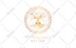 design sacred geometry logo