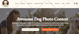 squarespace website design squarespace squarespace website website development