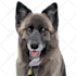 make your pet or any animal into amazing cartoon vector