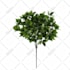 create 3d plants in speedtree