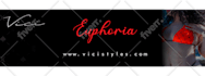 design a professional unique minimalist brand logo