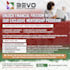design amazing social media flyer or instagram flyer