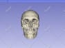 create a 3d model from your ct or mri dicoms