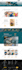 build wordpress landing page design, wordpress website design, one page website