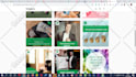 optimize and set up crazy converting facebook and insta ads