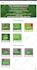 design wordpress ecommerce website woocommerce online store