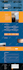 design and develop a professional custom wordpress website