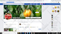boost your social presence let me handle your social media marketing